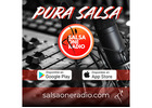 Salsa One Radio. Best Radio Station. Tampa. Florida
