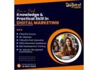 DSIM VDN - Digital Marketing Course in Jaipur