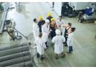 Labour Management System