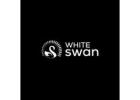 Timer Gas Stove in india - whiteswan