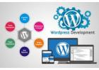 Custom WordPress Development Made Easy with Goldman Global