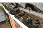 Cleaning Solution For Gutters Miami