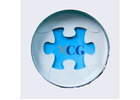 Mold Consultant Group