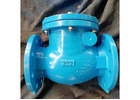 Check Valve Suppliers in UAE