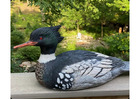 Top-Rated Mallard Duck Decoys Every Hunter Needs