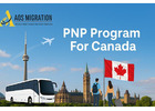 Best Consultant For PNP Program For Canada