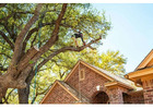 Tree Trimming & Removal Services