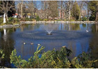 Pond Maintenance & Pond Supplies