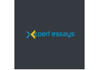 expert essays writers