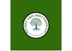 Sturdy Tree Solutions LLC