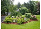 Landscape Consultants India Expert Design and Outdoor Planning Services