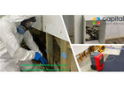 Where Can You Find Reliable Mould Removal Services?