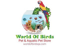 World Of Birds