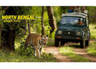 North Bengal Package Tour for Lava, Lolegaon, and Rishop Exploration
