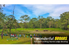 Dooars Tour Package from Siliguri – A Perfect Gateway to Nature and Adventure
