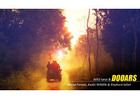Dooars Tour Package from Kolkata for Wildlife & Scenic Beauty Lovers