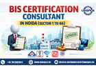 Online BIS Consultant in Noida
