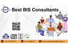 BIS Consultant in Sector 132 Noida