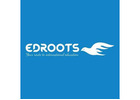 Study Abroad Consultants in Dubai