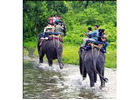 Customizable Dooars Tour Package from Kolkata including Buxa & Jayanti || NatureWings Holidays
