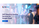 SAP Hosting on AWS Solutions Provider
