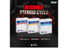Steroid Cycles for Beginners: A Complete Guide to Getting Started