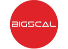Bigscal The Ultimate Software Development Company