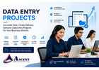 Companies outsourcing data entry Projects