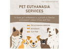 ???? At-Home Pet Euthanasia – A Peaceful Goodbye