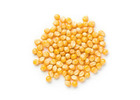 Popcorn Wholesale Suppliers for Retail and Commercial Need