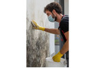 Get the Best Mould Removal & Remediation Services in Calgary