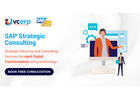 SAP Consulting & Advisory Services for Better Business Results
