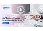 Expert SAP Business Process Improvement Solutions