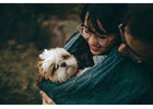 ???? Gentle Pet Passages – Compassionate In-Home Pet Euthanasia in San Antonio ????