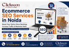 Ecommerce SEO Services in Noida