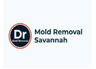 Dr mold removal savannah