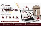 Search Engine Optimization Service in Delhi