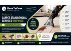 carpet stain removal services Ringwood