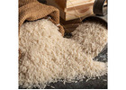 High-Quality Basmati Rice Suppliers in Noida for International Trade