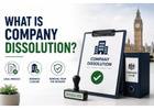 What Is Company Dissolution?
