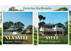 Octavius Tea Resorts: Tea Garden Stays in Dooars, West Bengal