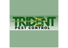pest control Williams Landing