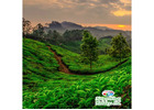 Kerala Tour Package – Taste Authentic Kerala Cuisine & Flavours