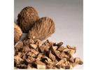 Dried Chicory Roots Supplier | Reliable Bulk Ingredient Supply