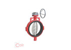 Butterfly Valve Manufacturer | Precision Engineered Valve Solutions