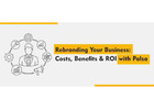 Rebranding Your Business: Costs, Benefits & ROI with Palsa