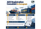 AEO Registration Consultant in Gurugram for Faster Customs Clearance