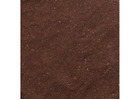 Chicory Powder Supplier in USA | Premium Quality Ingredients