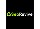 Digital Marketing Agency for Business Growth, SEO Revive