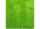 Cheap Artificial Grass Brisbane for Beautiful Low-Maintenance Lawns